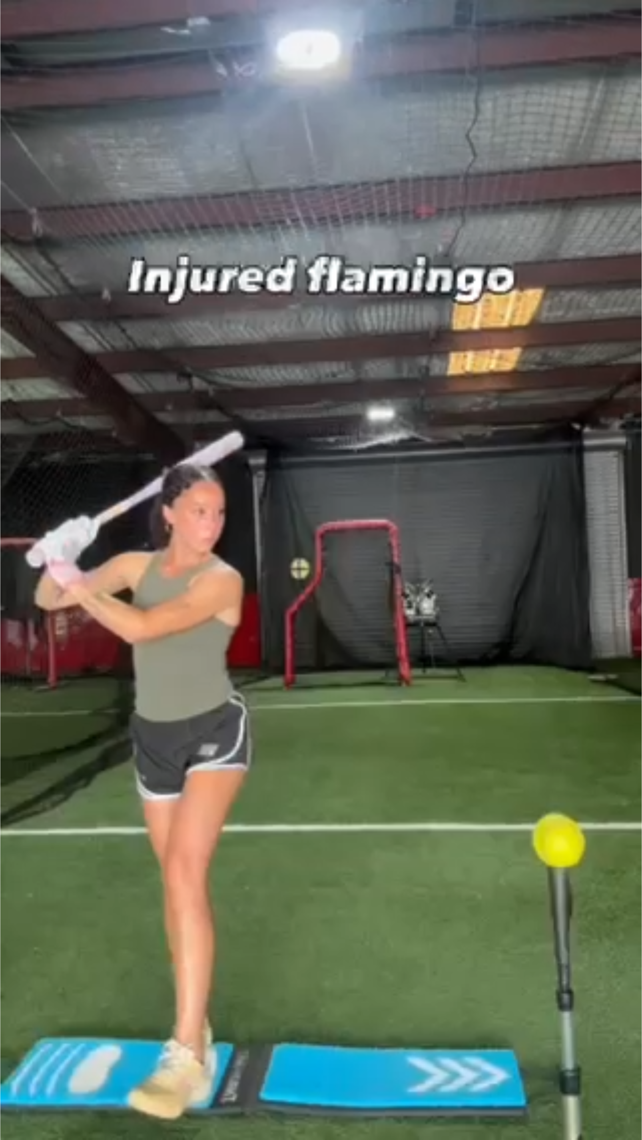 Load video: <p>Justice Milz — UGA Softball Standout &amp; Private Hitting Coach | @justice_milz</p>